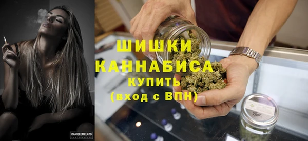 трава Инта