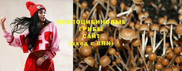 трава Инта
