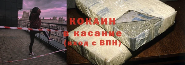 трава Инта